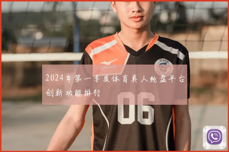 2024年第一季度体育真人轮盘平台创新功能排行